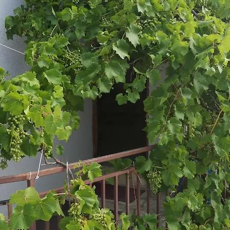 Palma Ceoce