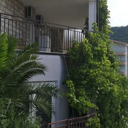 Palma Ceoce Budva