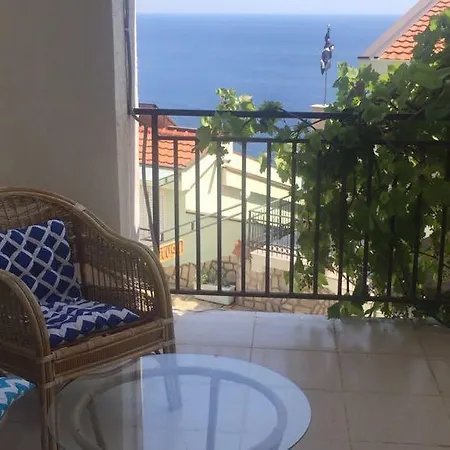 Palma Ceoce Daire *
