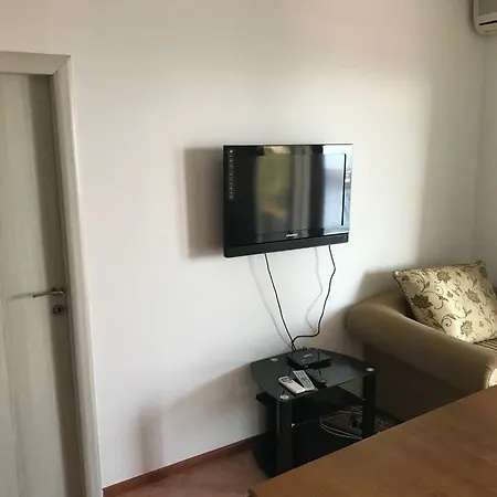 Palma Ceoce Daire Budva